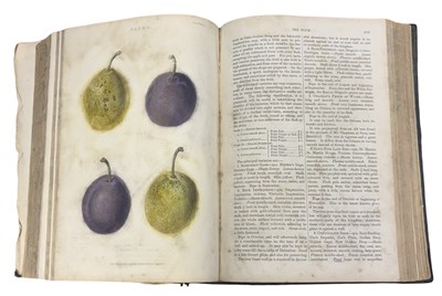 Lot 90 - ROBERT THOMPSON: THE GARDENER'S ASSISTANT:...