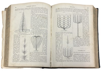 Lot 90 - ROBERT THOMPSON: THE GARDENER'S ASSISTANT:...