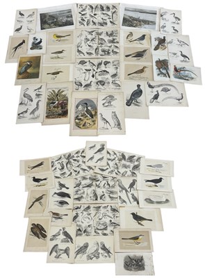 Lot 1275 - A collection of various ornithological plates...