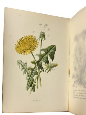 Lot 87 - F EDWARD HULME: FAMILIAR WILD FLOWERS, London,...
