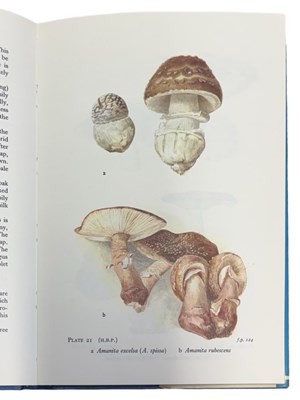 Lot 93 - W P K FINDLAY AND BEATRIX POTTER [Illus]:...
