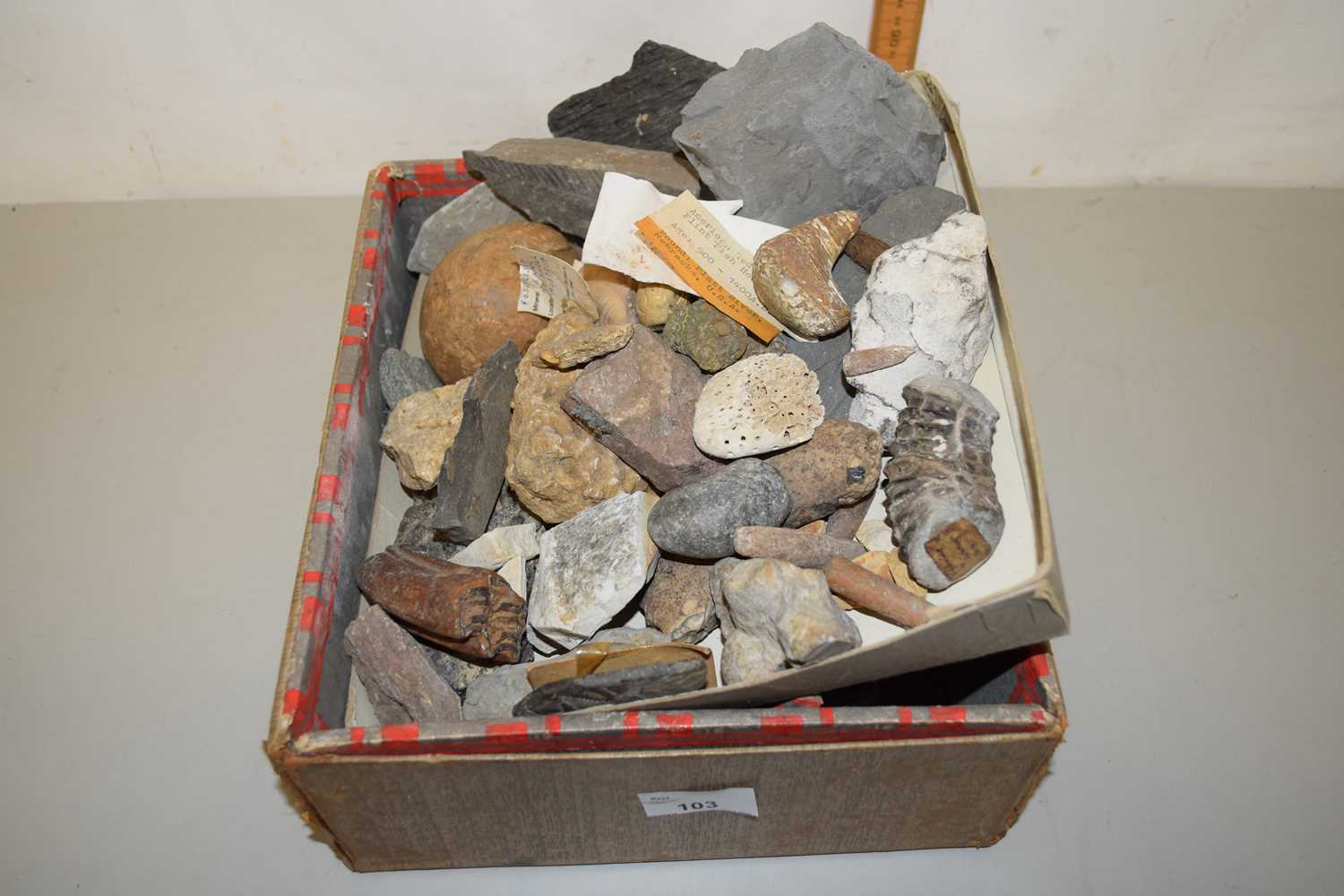 Lot 103 - Box of various fossils and mineralogical samples
