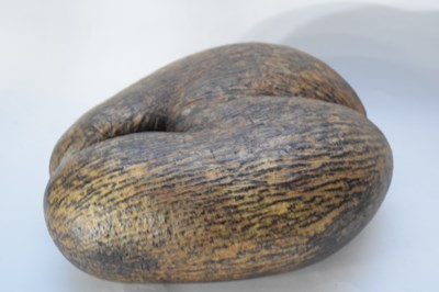 Lot 157 - Coco-de-mer nut