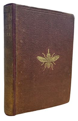 Lot 684 - DAVID LIVINGSTONE: A POPULAR ACCOUNT OF...