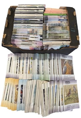 Lot 1193 - An extensive quantity of BIRDING WORLD Journal,...