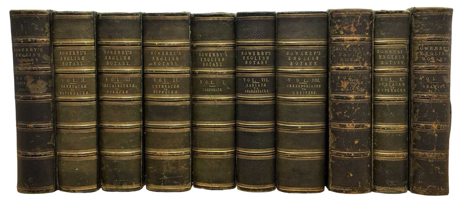 Lot 88 - JOHN T BOSWELL (Ed): ENGLISH BOTANY; OR,...
