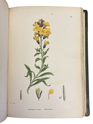 Lot 88 - JOHN T BOSWELL (Ed): ENGLISH BOTANY; OR,...