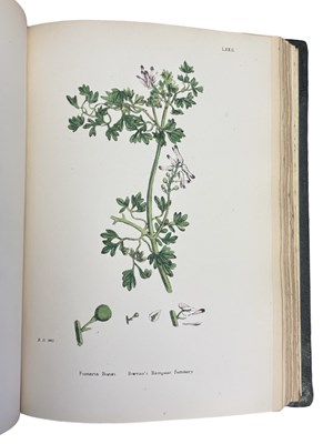 Lot 88 - JOHN T BOSWELL (Ed): ENGLISH BOTANY; OR,...