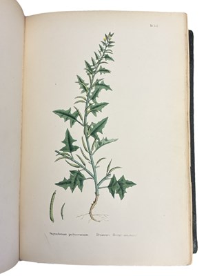 Lot 88 - JOHN T BOSWELL (Ed): ENGLISH BOTANY; OR,...