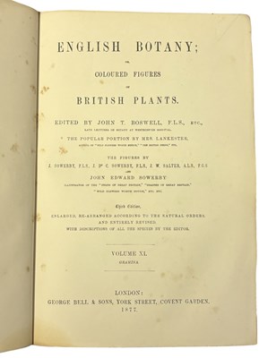 Lot 88 - JOHN T BOSWELL (Ed): ENGLISH BOTANY; OR,...