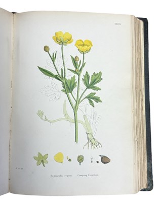 Lot 88 - JOHN T BOSWELL (Ed): ENGLISH BOTANY; OR,...