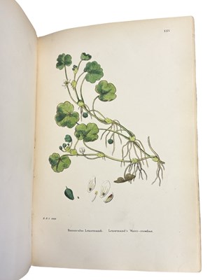 Lot 88 - JOHN T BOSWELL (Ed): ENGLISH BOTANY; OR,...