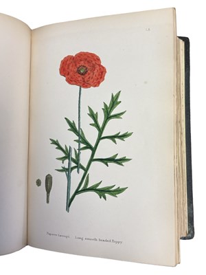 Lot 88 - JOHN T BOSWELL (Ed): ENGLISH BOTANY; OR,...