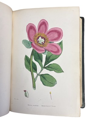 Lot 88 - JOHN T BOSWELL (Ed): ENGLISH BOTANY; OR,...