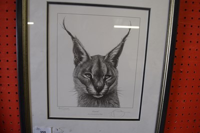 Lot 350 - GARY HODGES, 'CARACAL', BLACK AND WHITE PRINT,...