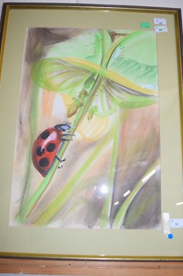 Lot 37 - British, Contemporary, a study of a ladybird...