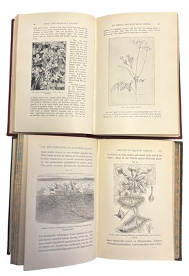Lot 95 - WILD FLOWERS: 2 Titles: J E TAYLOR: FLOWERS;...