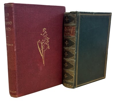 Lot 95 - WILD FLOWERS: 2 Titles: J E TAYLOR: FLOWERS;...
