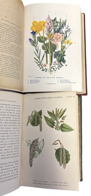 Lot 95 - WILD FLOWERS: 2 Titles: J E TAYLOR: FLOWERS;...