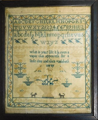 Lot 192 - An early Victorian sampler, with alphabet and...
