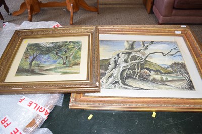 Lot 308 - A framed study of a gnarled oak tree signed...