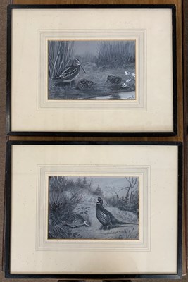 Lot 29 - Hugh Wormald (British, 20th century), A Snipe...
