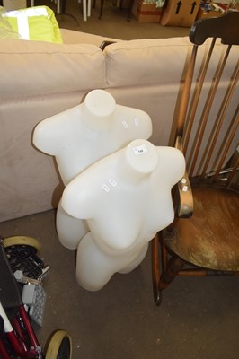 Lot 740 - TWO PLASTIC TORSO MODELS