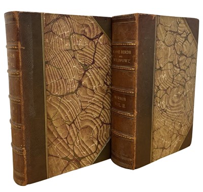 Lot 55 - BEVERLEY R MORRIS: BRITISH GAME BIRDS AND...