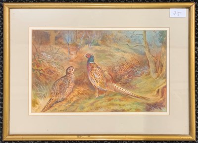 Lot 75 - T.Wrigley (British, 20th century), Pheasants...