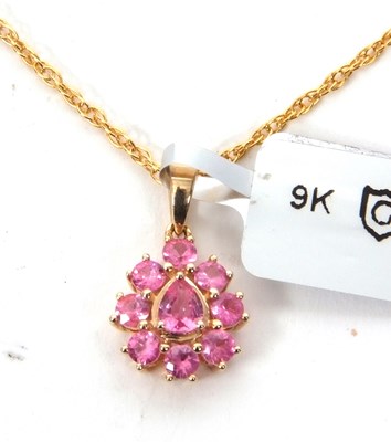 Lot 171 - A 9ct pink sapphire pendant and silver gilt...