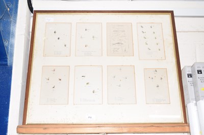 Lot 212 - Framed group of prints of fishing flies
