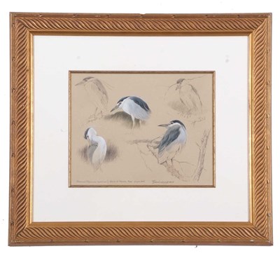 Lot 102 - Federico Gemma SVLA (Italian, b.1970), 'Night...