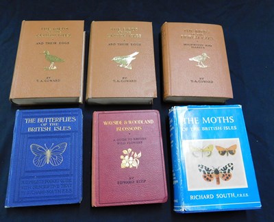 Lot 274 - RICHARD SOUTH: THE MOTHS OF THE BRITISH ISLES,...
