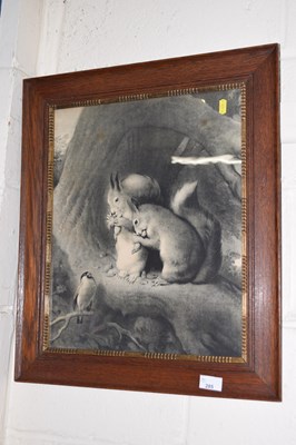 Lot 285 - A Victorian engraving of squirrels