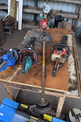 Lot 442 - A Lawnflight strimmer