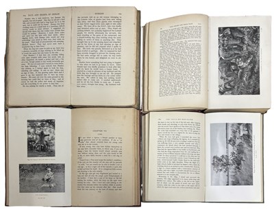 Lot 93 - BIG GAME: 4 Titles: MRS W W BAILLIE: DAYS AND...