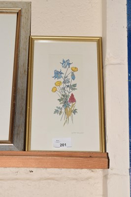 Lot 201 - Pair of botanical prints in gilt wooden frames