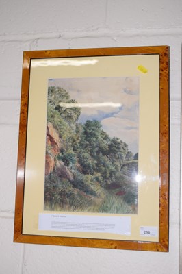 Lot 256 - A watercolour of a forest scene signed lower...