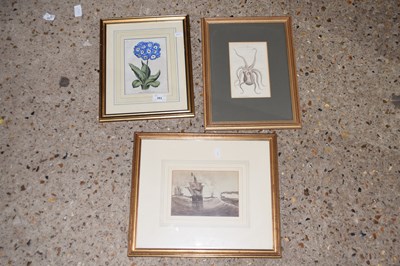 Lot 283 - Various framed vintage prints