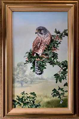 Lot 51 - David Feather (b.1952) Kestrel, oil on canvas,...
