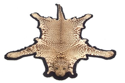 Lot 330 - 20th Century Van Ingen Van Ingen taxidermy...