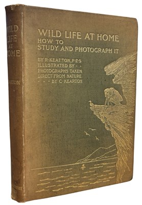 Lot 180 - R KEARTON: WILD LIFE AT HOME, London, Cassell...