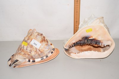 Lot 506 - Two large shells