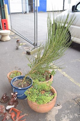 Lot 396 - Mixed lot to include four planters together...