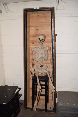 Lot 726 - A moulded plastic skeleton in coffin