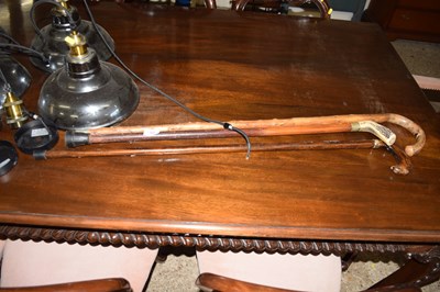 Lot 302 - Three assorted walking sticks