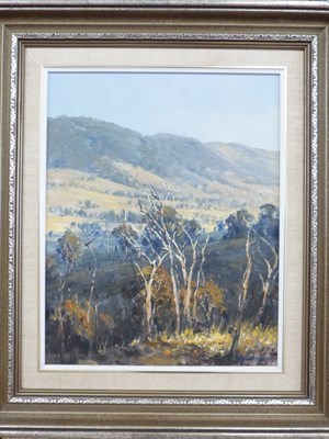 Lot 162 - Allan Fizzell (Australian Contemporary),...