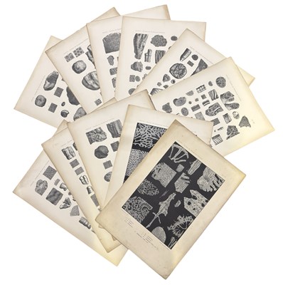 Lot 1059 - MARIE-MATILDA OGILVIE-GORDON: KORALLEN DER...