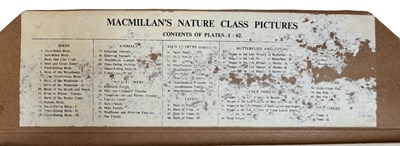 Lot 951 - MACMILLAN'S NATURE CLASS PICTURES: Large...