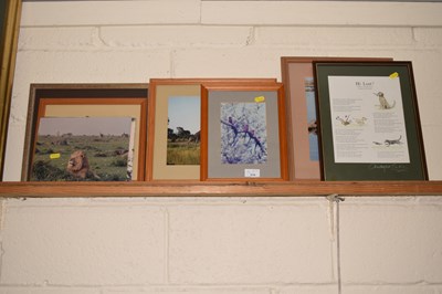 Lot 216 - A collection of various framed photographs of...